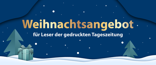 Abbildung Weihnachtsangebot Printkunden