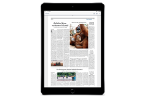 iPad mit Zeitungsseite